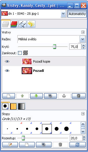 Obrázek