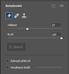 Obrázek