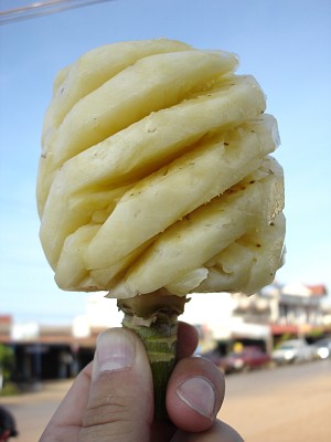 Obrázek